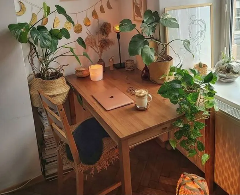 a touch of nature to your workspace
