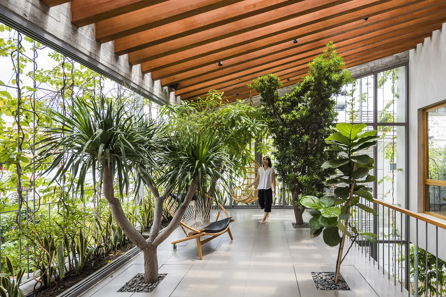 Indoor garden with wooden ceiling and large plants