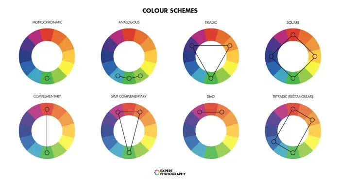  Various color schemes illustrated on wheels