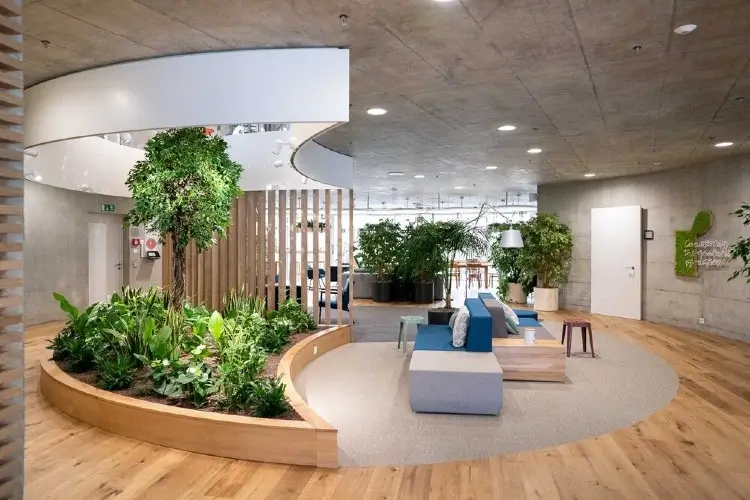 Eco-friendly workspace with biophilic design