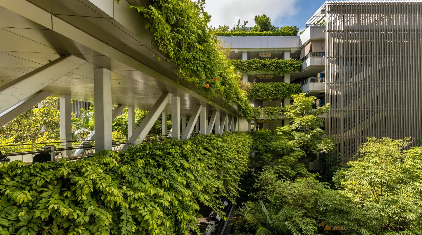 Lush green facade on modern building