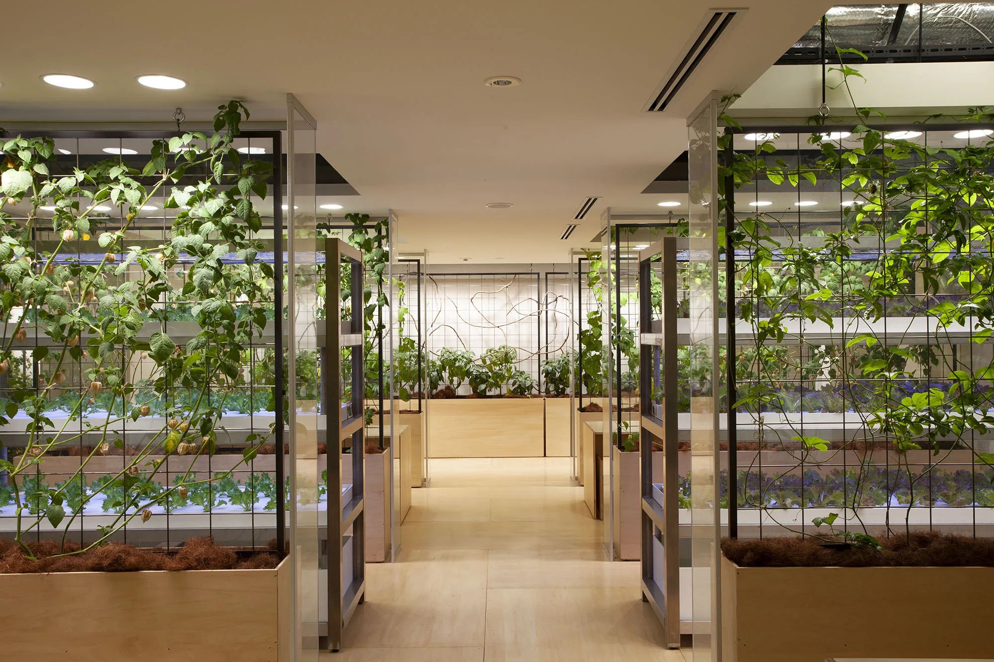 Indoor farming integrated in office