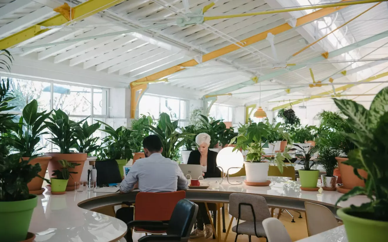  Open workspace surrounded by plants