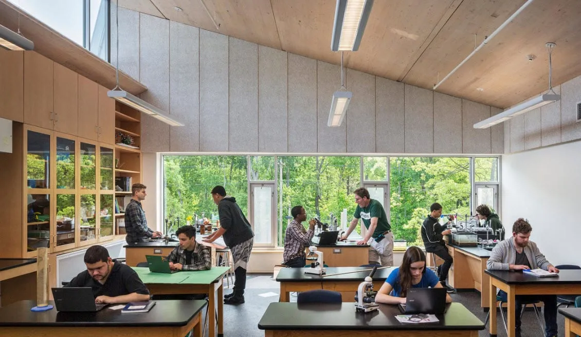 Classroom with nature-inspired elements